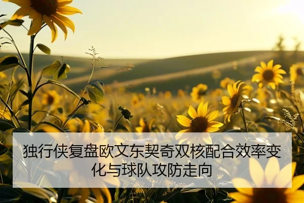 du-xing-xia-fu-pan-ou-wen-dong-qi-qi-shuang-he-pei-he-xiao-lv-bian-hua-yu-qiu-dui-gong-fang-zou-xiang-3-964.jpg