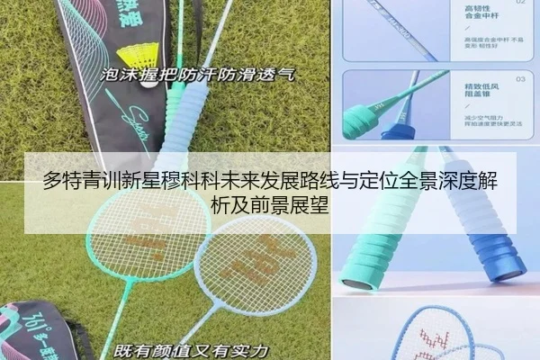 多特青训新星穆科科未来发展路线与定位全景深度解析及前景展望